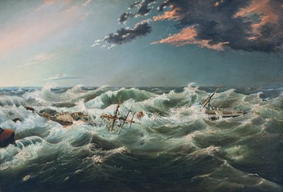 Das Wrack der Admella, Cape Banks, 6. August 1859 von James Shaw